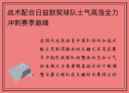 战术配合日益默契球队士气高涨全力冲刺赛季巅峰